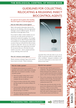 Guidelines For Collecting Relocating and Releasing Insect