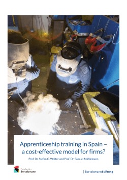 Apprenticeship training in Spain – a cost
