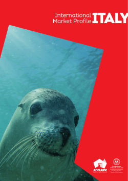 International Market ProfileITALY