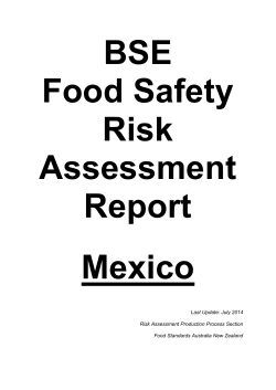 Conclusions and BSE risk categorisation