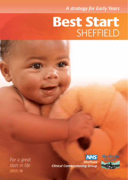 Best Start Strategy - Sheffield City Council
