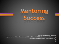 Mentoring Success
