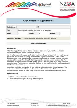 377 Assessor guidelines