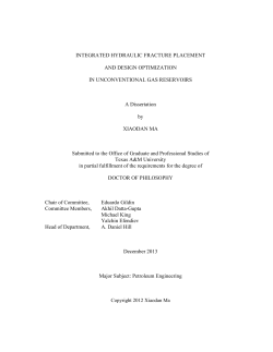 optimizations with unfixed number of hydraulic