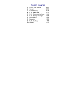 Team Scores