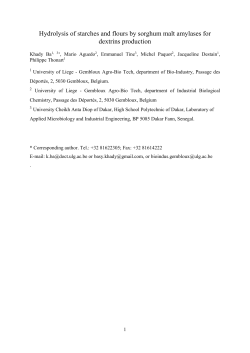 Hydrolysis of starches and flours by sorghum malt amylases for