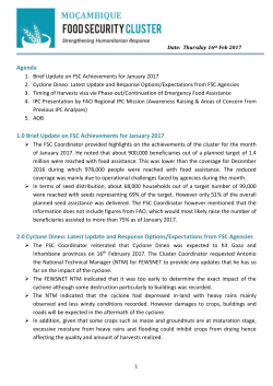 - Food Security Cluster