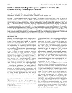 Insertion of Telomere Repeat Sequence Decreases Plasmid DNA