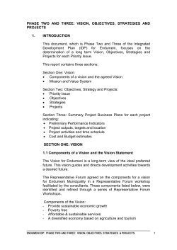 PHASE TWO: VISION, OBJECTIVES, STRATEGIES AND PROJECTS