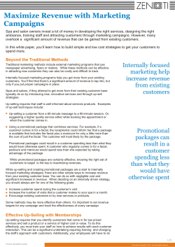 Maximize Revenue with Marketing Campaigns