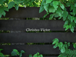 Harvest EV Free Church - Harvest: An Evangelical Free Church