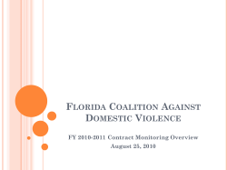 FLORIDA COALITION AGAINST DOMESTIC VIOLENCE FY 2010