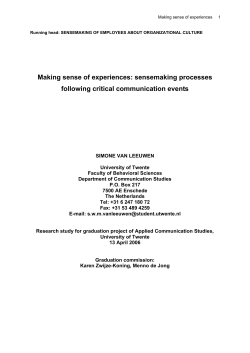 Making sense of experiences: sensemaking processes following