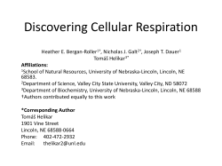 S3. Cellular Respiration Simulations-Lecture