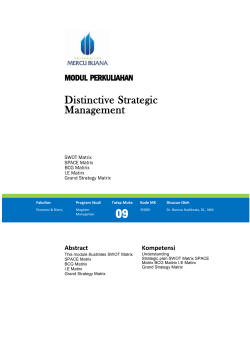 Internal strategic dimensions