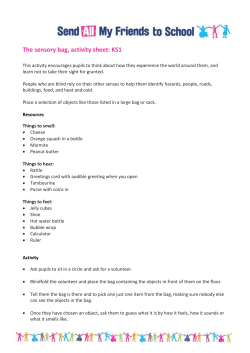 KS1-The-sensory-bag - Send My Friend to School
