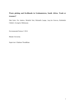 Key words: Waste picking, livelihoods, urban