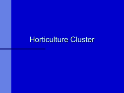 Horticulture Cluster