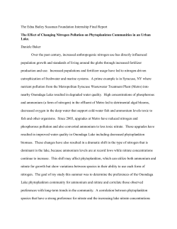The Effect of Changing Nitrogen Pollution on Phytoplankton