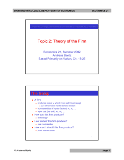 Topic 2: Theory of the Firm The Setup