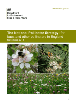 The National Pollinator Strategy: for bees and other pollinators in