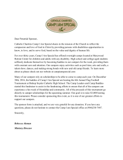 flag football sponsor form