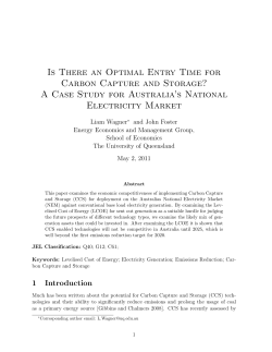 Is There an Optimal Entry Time for Carbon Capture and Storage? A