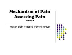 Mechanism of Pain Assessing Pain