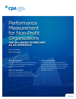 Performance Measurement for Non-Profit