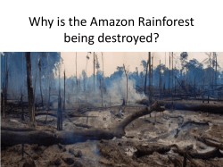 L. O. To evaluate the parts various issues play in the destruction of