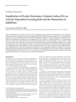Equalization of Ocular Dominance Columns Induced by an Activity
