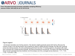 Slide - Journal of Vision