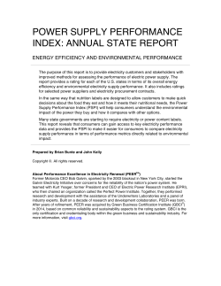 power supply performance index: annual state report - PEER