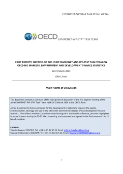 ENVIRONET-WP-STAT TASK TEAM Main Points of