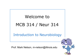 Introduction to Neurobiology