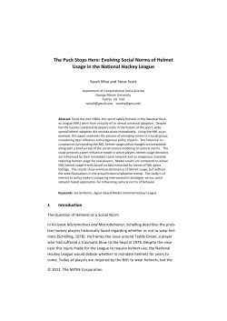 hockey helmets and social norms v09a