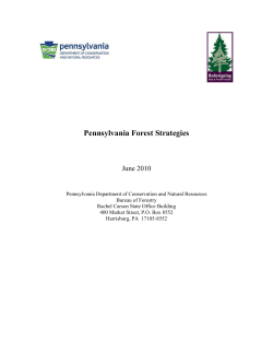 Pennsylvania Forest Strategies
