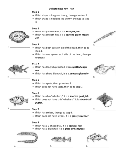 Dichotomous Key