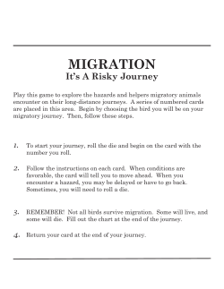 migration game.indd