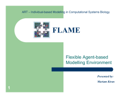 Flexible Agent-based Modelling Environment