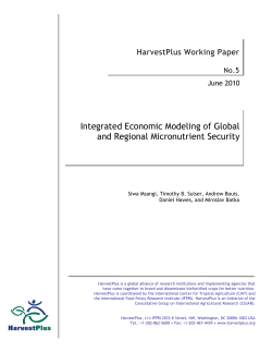 Integrated Economic Modeling of Global and Regional