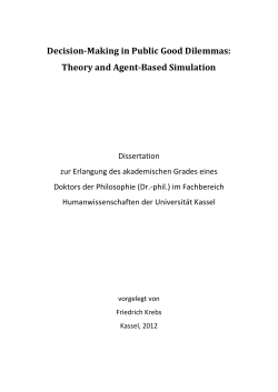 Decision-making in public good dilemmas: theory and