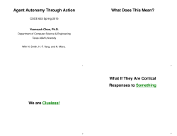 Agent Autonomy Through Action What Does This Mean? We are