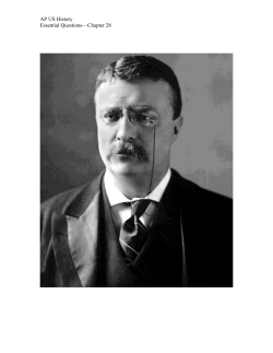 AP US History Essential Questions&mdash;Chapter 28 Write a character