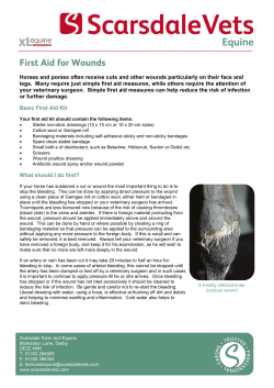 Horses and ponies often receive cuts and other wounds particularly
