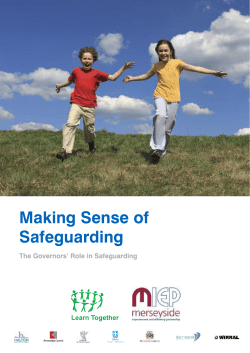 Making Sense of Safeguarding