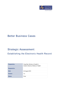 Strategic Assessment: Establishing the Electronic