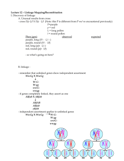 Linkage Mapping/Recombination