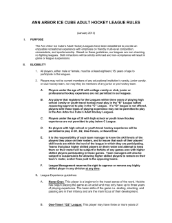 ANN ARBOR ICE CUBE ADULT HOCKEY LEAGUE RULES