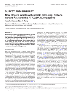 New players in heterochromatin silencing